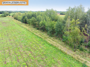 Działka Sprzedaż Walendów